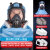 LISM防尘面罩全脸防护口罩工业级防毒喷漆头罩油漆工全面罩头盔防粉尘 7093防尘盒 2个装