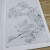 【5本包邮有划道介意慎拍】美术教学示范作品： 花卉珍禽白描画稿工笔绘画技法花鸟孔雀从入门到精通书