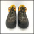 大盾劳保鞋  PL0216牛皮钢包头防砸耐油中邦运动劳保鞋  牛皮鞋面PU大底（1双)重1.1KG 45