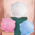 捷众（JIEZHONG） 婴幼儿儿童3D立体防舔口罩一次性宝宝防护杯型口罩 6个/盒 粉色 