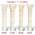 趋尚罗马柱欧式模具罗马柱圆柱子方柱子构件水泥自制模型大门模具 （ 直径30高3.6米(花头花脚)1根