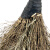 兰诗（LAUTEE）DM-212 竹扫把  竹柄中号黑皮1.7斤款5个装