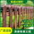 谋福（CNMF）户外木栅栏 花园围栏草坪庭院木护栏碳化木栅栏【白色100*50*70 cm（厚13mm）】