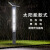 中恒朗 JGDT30200 景观灯 太阳能户外路灯 led方形灯 3米广场小区别墅防古中式灯 A款 3米高 200方
