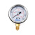 定制油压表竖向抗震耐震压力表径向测压YN-601.62.5/4/10/16/25/4 0-60MPA