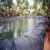 pe加厚鱼塘防渗膜养殖蓄水专用鱼池防水布防漏布池塘藕池土工膜 20S加厚4米宽100米长