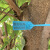 定制一次性园林苗木锁扣打号锁标记牌标签标识号苗树扎带塑料封条 红色50CM长100条