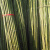 犀跃 竹竿 爬藤竹杆架搭架 篱笆栅栏彩旗杆细竹子 直径2cm 长1.5米（40根）