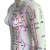 【JD健康】超清人体穴位模型经络通针灸模型刻字中医人体穴位图教学高清刻字 48厘米彩色经络女 54厘米(带数字)彩色 硬模  女