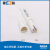 上海仪电科学雷磁PT-11 PT-21笔式酸度计酸碱测试笔自来水pH检测仪 PT-11笔式酸度计