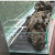 鱼乐良品鱼缸造景垫板网格板底滤板隔离板滤清板支架过滤板铺底砂防跳网 黑色网格板1张30*15cm
