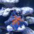 海星活宠物活体海水鱼缸迷你海洋生物观赏动物活的翻砂小海星水族 C款生态瓶+独立小包装海盐