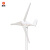 	晶标户外三叶水平轴风力发电机家用商用小微型220v伏直流风光互补永磁路灯风力发电S型24v300W