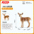 思乐（Schleich S）仿真动物模型 母长颈鹿小长颈鹿白尾鹿剑羚非洲草原动物儿童玩具 白尾母鹿玩具14819