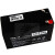 德利森UPS电源蓄电池PS9-12德利森铅酸免维护蓄电池12V9AH PS9-12