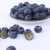 Joyvio佳沃 国产蓝莓1盒装125g/盒 果径14mm+ 新鲜水果