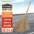 Supercloud大扫把竹环卫马路物业柏油道路地面清扫清洁大号笤帚扫帚 竹枝连体3.8斤款 1把