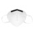 霍尼韦尔 口罩KN95 防雾霾防工业粉尘折叠式 H910Plus 耳带式 50只装