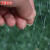 工品云超 防鸟用网 果园果树防麻雀专用尼龙网网罩户外防护网【8米宽约7.5米长】	
