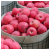 梦芷山东烟台红富士苹果脆甜红苹果整箱苹果新鲜水果苹果礼盒特产 9斤 优选大果装(净重8.5-9斤 )