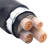 电力电缆 YJV22 3*50+1*25mm² 国标铜芯低压电缆 1米