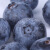 Joyvio佳沃 国产蓝莓1盒装125g/盒 果径14mm+ 新鲜水果