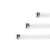 飞利浦（PHILIPS）传统T8双端荧光灯管 765 36W 冷光6200K 1.2米 25支/箱 1箱 928048505453