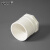 安赛瑞 PVC内丝直接（5个装）给水管件配件单内丝内螺内牙接头 白色 110mm 450064
