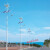 风力灯led市电路灯农村6/7/8米路灯杆220V超亮风光互补发电 6米款定制