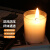 飞尔（FLYER）防风蜡烛 应急照明蜡烛 户外野营蜡烛 阻风蜡烛 安防用品【SYJ504】