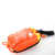 筑采（ZHUCAI）水域救援绳包漂浮水面荧光救生绳安全绳抛绳包防汛救生装备 橙色绳包 （粗）12毫米（长）31米