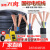 RVV电缆线国标电线软线2芯3芯1254610平方电缆线户 国标2芯2.5平方1米价
