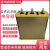 九肚BSMJWX0.45-30-3自愈式低压并联电力电容器 BSMJWX0.45-40-3