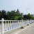 创悟邦 城市道路护栏公路隔离栏市政交通护栏马路防撞护栏 高0.6米立柱+底座一套