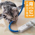 防猫咬线保护猫咪咬电线数据网线套收纳缠绕神器防老鼠包线管 8MM白色