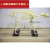 宠物骨科器械 狗骨骼标本模型 动物狗猫犬 教学骨架骨头 骨骼模型 小号猫骨架60X20X30CM