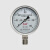 蓝宇星琳 红旗 不锈钢耐震压力表 YTN-100BF（0-1.6） 不锈钢耐震压力表 1个