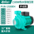 永派PUN铸铁热水循环泵空气能配套泵耐高温高扬程大流量增压泵 PUN-1500EH