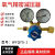 定制氧气减压器精密仪器YQY1两级压力调节器YQT711氮气氩气氢气 氩气0.16x25