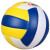 红双喜5号排球学生专用中考初中生训练比赛排球充气软式沙滩球FV518-1