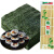 奇趣猫寿司海苔片A级紫菜包饭套餐寿司卷帘真空包装家用即食大片烤海苔 20片海苔+卷帘 56g