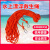 江波（JIANGBO）救生绳游泳绳子 救援安全绳漂浮水上救生圈浮索逃生绳 直径10毫米橘色普通30米