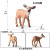 韦韦猪仿真野生白尾鹿小鹿动物静态模型实心摆件套装儿童认知启蒙 白尾鹿松鼠红狐兔6只套装