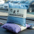 斯铂格 BGS-65 活性炭竹炭包 除甲醛新房室内装修汽车净化除味麻布包500g 紫色（1包）