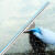 CT施达不锈钢专业型玻璃刮擦窗器刮水器洗玻璃工具TM-CEWS 140