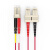 胜为 LC-SC多模双芯3米 电信级铠装光纤跳线 抗压防鼠咬室内抗拉尾纤缆FMCK-2030