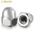 嘉耐特（JNT）304不锈钢盖型螺母 装饰螺帽 圆头螺丝帽 M6 [30个]304材质