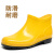 短筒白色卫生靴低帮男女雨鞋雨靴大码厨师鞋46 47 48 49 50码 黄色晴雨鞋 37