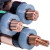 TPY 太平洋 铜芯电力电缆 YJV4*6+1*4 请以百米以上下单 /1米 可定制