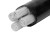 立飞 电缆线 不带凯国标线  YJLV 电力电缆地理架空线  铝芯不带凯 4*95+1*50平方  1米（定制）